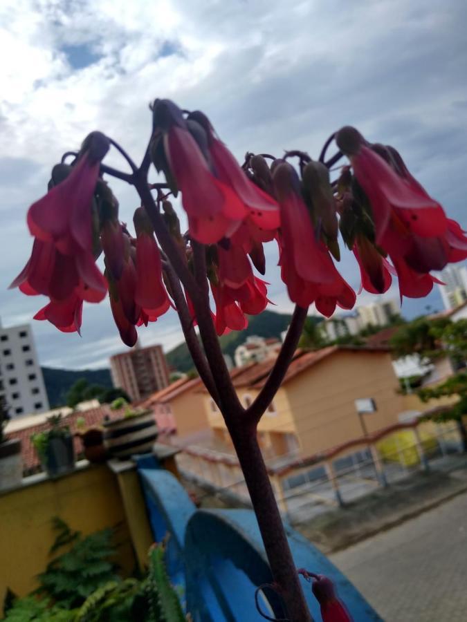 Apartamento Com Piscina Na Martim De Sa Caraguatatuba Extérieur photo